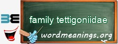 WordMeaning blackboard for family tettigoniidae